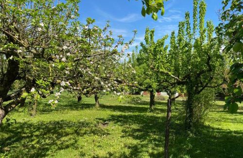 Saint-Jean-sur-Reyssouze House | Ferme de St-Jean