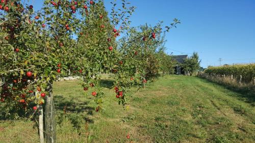 Ernee Bed & Breakfast | Ferme fruitière zéro traitement