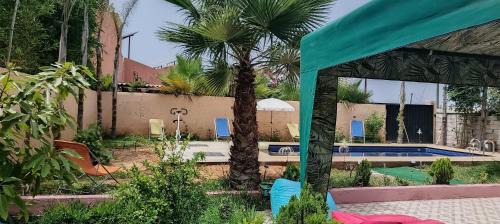 Haddada House | Ferme Mamma Aicha, Votre oasis familiale à Kénitra