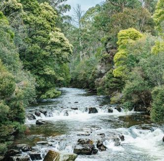 Tyenna House | Fern Mt Field on Tyenna River
