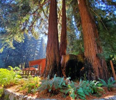 Felton Resort | Fern River Resort