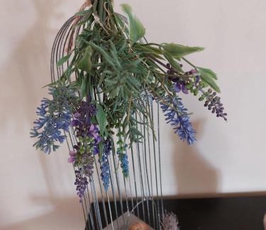 Schwalenberg Apartment | Fewo Dornröschen