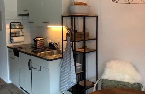 Klosters Dorf Apartment | FeWo Gotschna Haus Bargis
