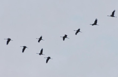 Ostseebad Dierhagen Apartment | FEWO-Kramm Ostseebad Dierhagen