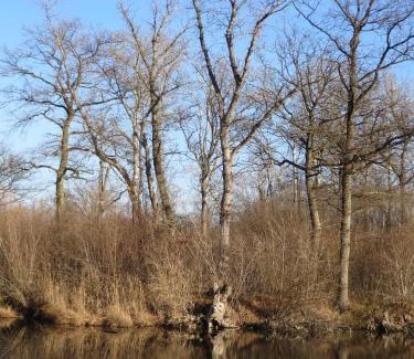 Kappel-Grafenhausen Apartment | Fewo Merdin