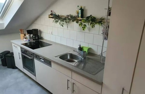 Bad Waldsee Apartment | FeWo339 - Cozy vacation apartment with large south-facing balcony. Pet friendly!