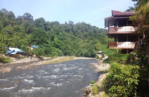 Bukit Lawang House | Fidodido Guesthouse & Jungle Trekking