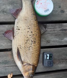 Filipstad Municipality Villa | Filipstad, Lake House Fishing, Nature, Beach