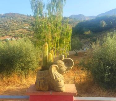 Riogordo Bed & Breakfast | Finca Corazonada