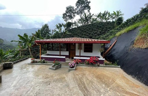Jardin House | Finca de Café La Guadalupe, Casa de Campo Jardín