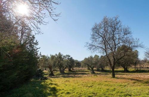 San Martin de Valdeiglesias Villa | Finca el Palomar de la Viña