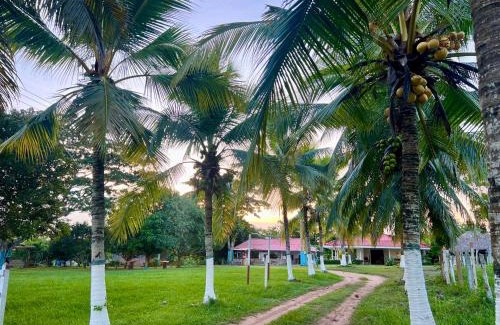 Chinu House | Finca Hotel Villa Manuela