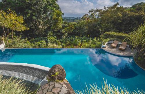 Santa Barbara de Heredia Hotel | Finca Rosa Blanca Coffee Farm and Inn