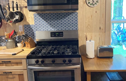 Ferrum Cabin | Finn’s Folly: a Private Cabin right off the Parkway
