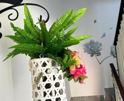 Scorrano House | Fiori e Farfalle - Casa Vacanze
