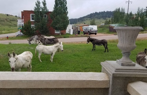 Cripple Creek House | FIRST CLASS: SilverHouse Downtown Cripple Creek