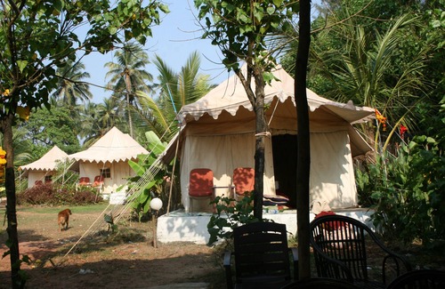 Anjuna RV Rental | Five Five Restaurant and Guest Tent- Glamping