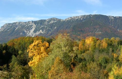 Reichenau an der Rax Hotel | Flackl - Wirt