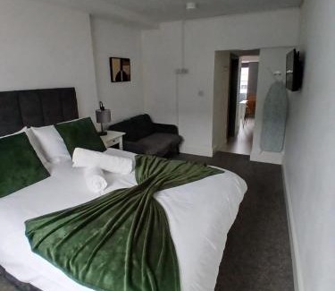 Hereford Apartment | Flat 5 - Eign St Hereford