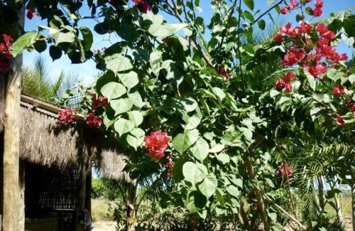 Barra Grande House | Flat Bang-Lu