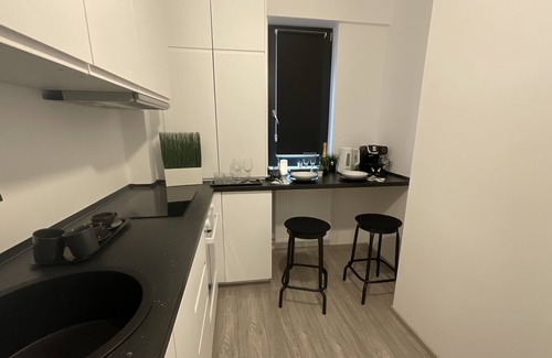 Iasi Apartment | Flat near Palas Mall Q Residence