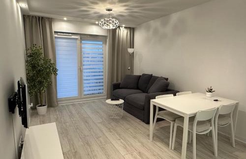 Stare Miasto District Apartment | Flat4You III