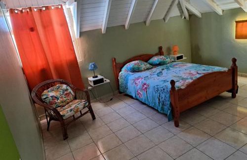 Grand-Bourg Apartment | Fleurs d'hibiscus