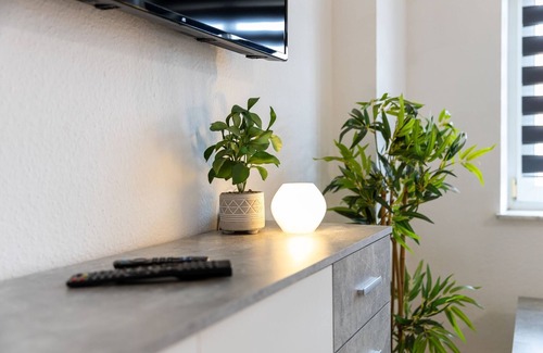 Marienthal West Apartment | FLEX Aparts - fully furnished 2-room apartment in Zwickau