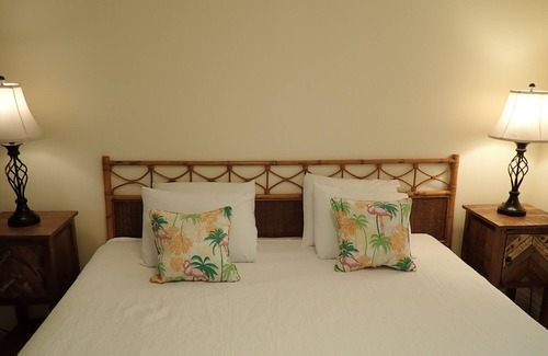 Cockburn Town Apartment | FLIRTY FLAMINGOS - Spacious, airy 2 bedrooms 2 bathrooms - Grand Turk Island!
