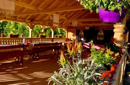 Sugau Cabin | Floare de Maramures 2