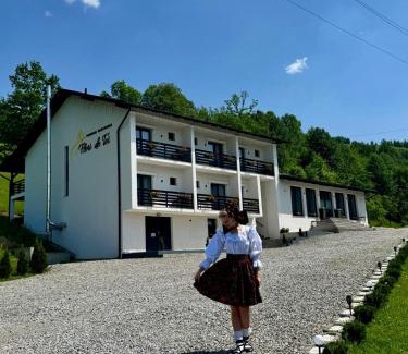 Sacel House | Flori de Tei Maramures