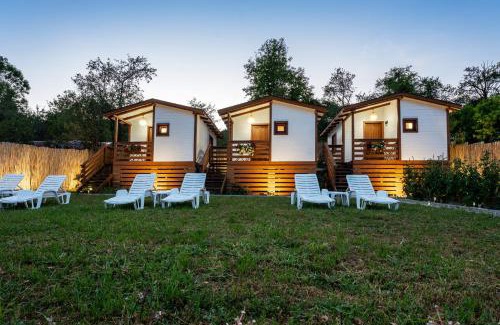 Saschiz House | Flori Haus Saschiz