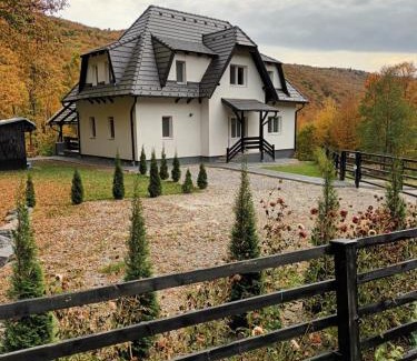 Bradesti Villa | Flow House