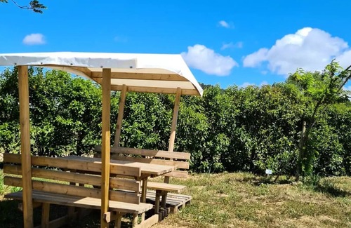 Bize-Minervois House | Flower Camping Olivigne * - Mobile home Premium 29m2 2 bedrooms + terrace 21m2 + TV + LV + Clim + plancha 4 people