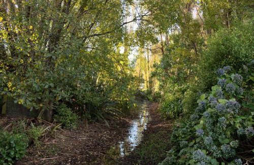 Invercargill Bed & Breakfast | Folster Gardens Bed and Breakfast