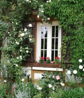 Bois-Jerome-Saint-Ouen Bed & Breakfast | Forest Farm