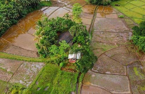 Kotapola House | Forest & Fields Sinharaja