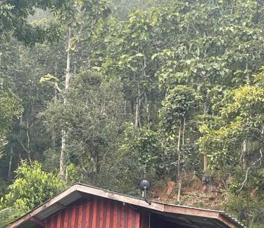 Samoeng Resort | Forest Guesthouse