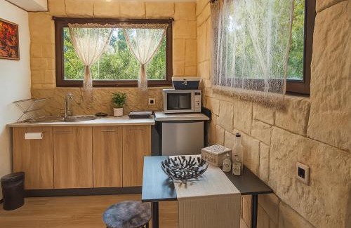 Covasna Villa | Forest Hide Tiny House