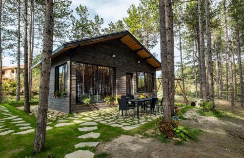 Primorski Villa | Forest House Vi