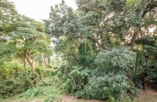 Morong Apartment | FOREST Nest with Self-Service Breakfast - Birds, Monkeys, Pet Friendly with a Fee