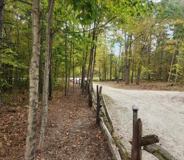 Clearview Other | Forest Oasis Camping Resort