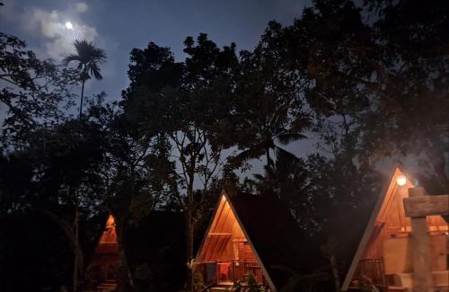 Kecamatan Pringgasela House | Forest Side bungalow