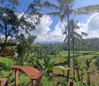 Kecamatan Pringgasela House | Forest Side bungalow
