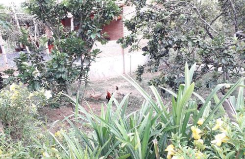 Quan Tom House | Forest Side Ecolodge