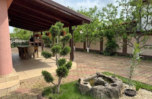 Costesti House | Forest Spătaru