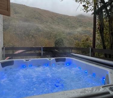 Makrakomi Ski Chalet | Forest view Aggeliki