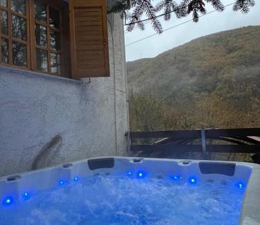 Makrakomi Ski Chalet | Forest view Aggeliki