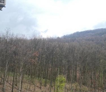 Rogaca Apartment | Forest View Apartment