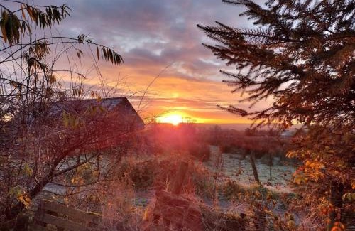 Ballaghaderreen House | Forest View Cabin